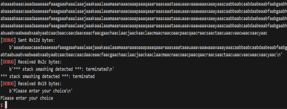 Stack smashing detected